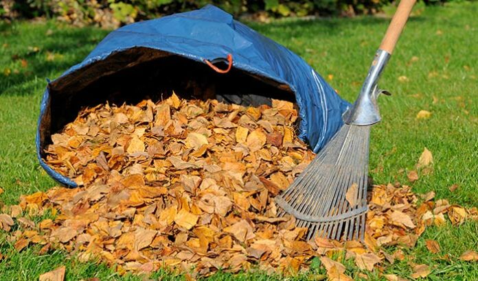 entretenir son jardin en automne